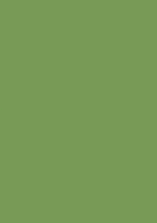 43 DEEP OLIVE GREEN