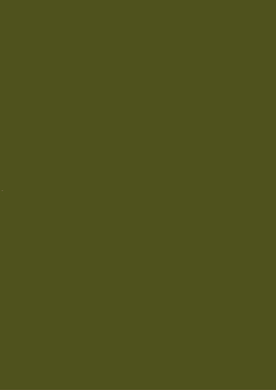 950 DARK OLIVE