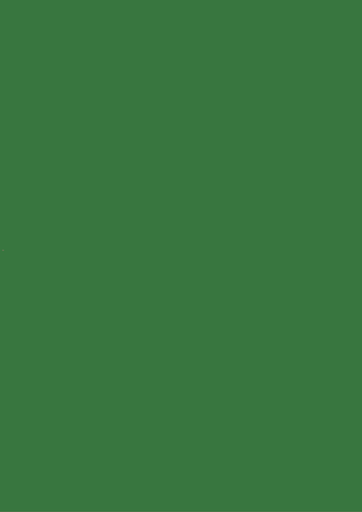 884 HOLLY GREEN