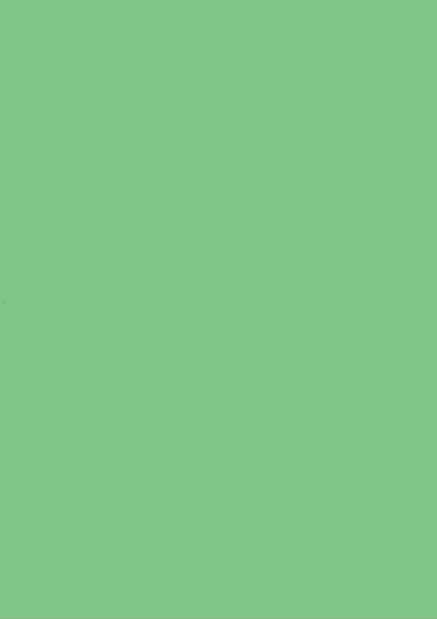 877 MID HOLLY GREEN