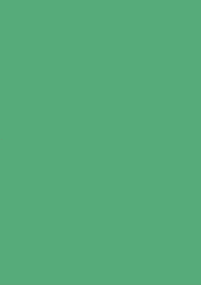 894 BRIGHT CARROT GREEN