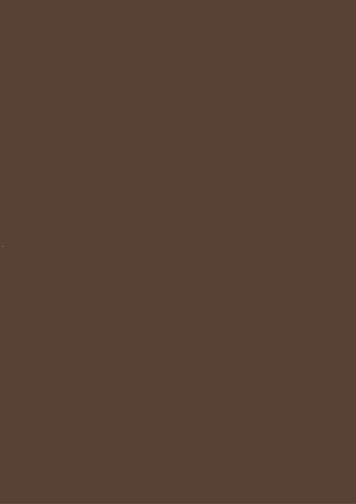 712 RED BURNT UMBER