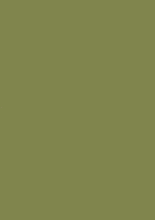 42 BRONZE GREEN