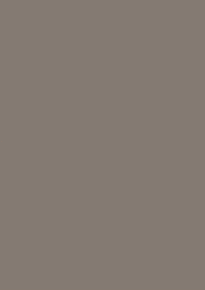 WG5 WARM GREY