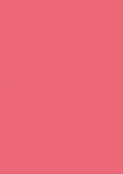 FLUORESCENT CORAL RED 121