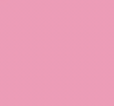 R28/R9 PINK CARNATION