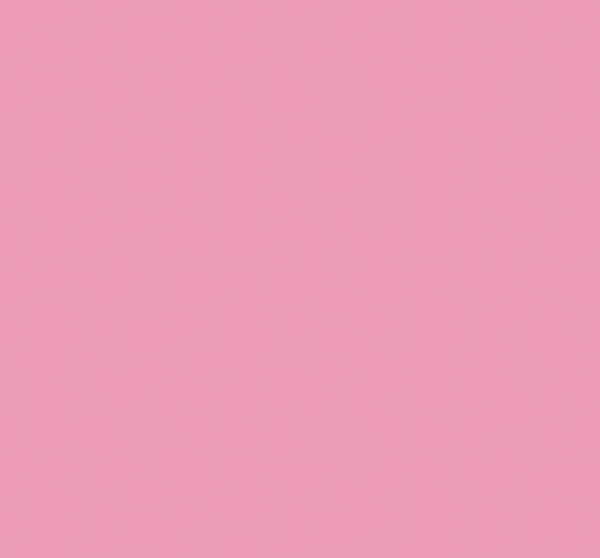 R28/R9 PINK CARNATION