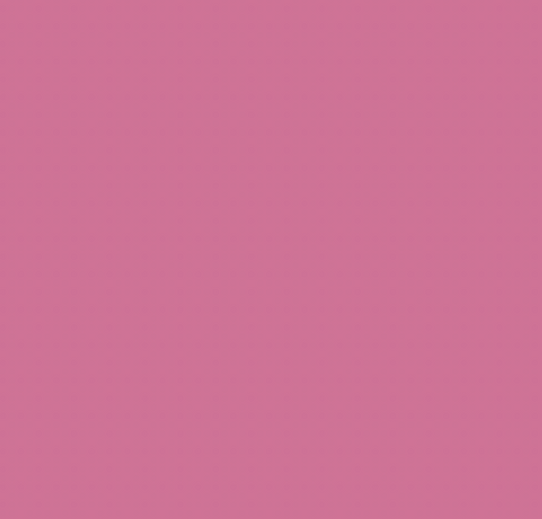 R310/RV330 PURPLISH PINK