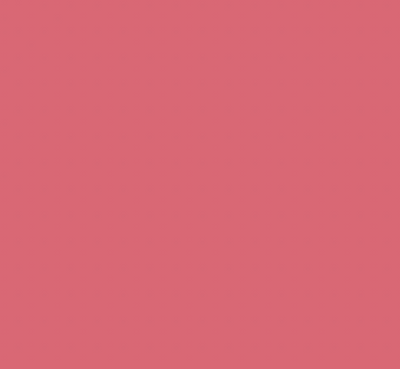 R410/R160 RASPBERRY