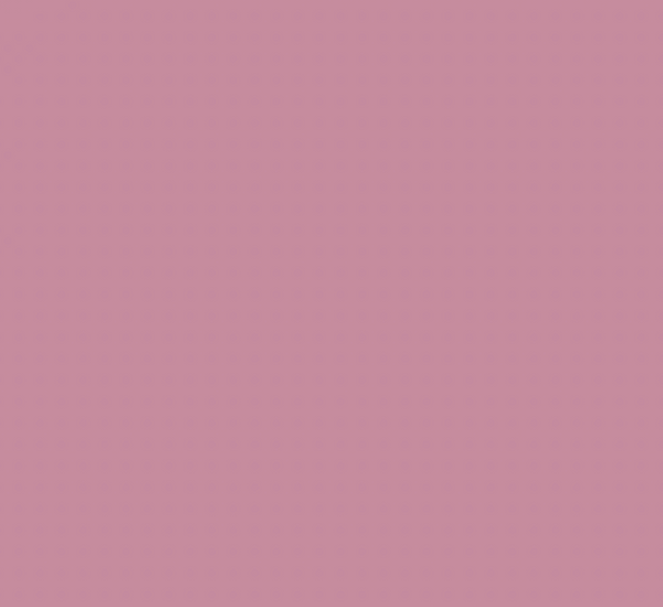 R57/R280 ROSE DUST