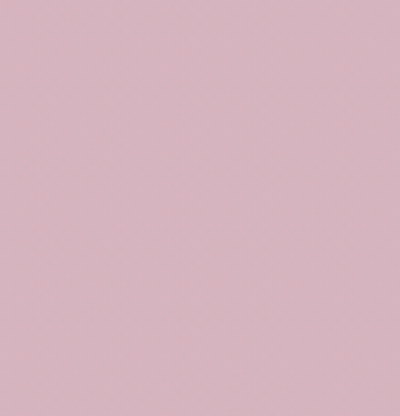 R56/R270 PUCE
