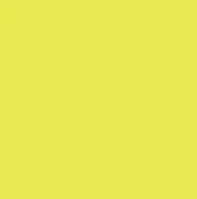 FY00/FY010 FLUORESCENT YELLOW