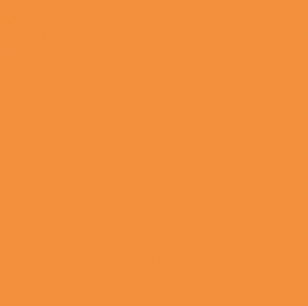 FY01/FY020 FLUORESCENT ORANGE
