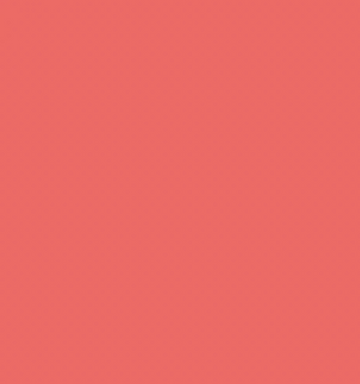 FY02/FY030 FLUORESCENT RED BRUSH/CHISEL