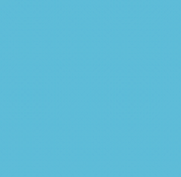 B09/B070 TAHITIAN BLUE BRUSH/CHISEL