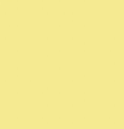 Y06/Y040 BUTTER BRUSH/CHISEL