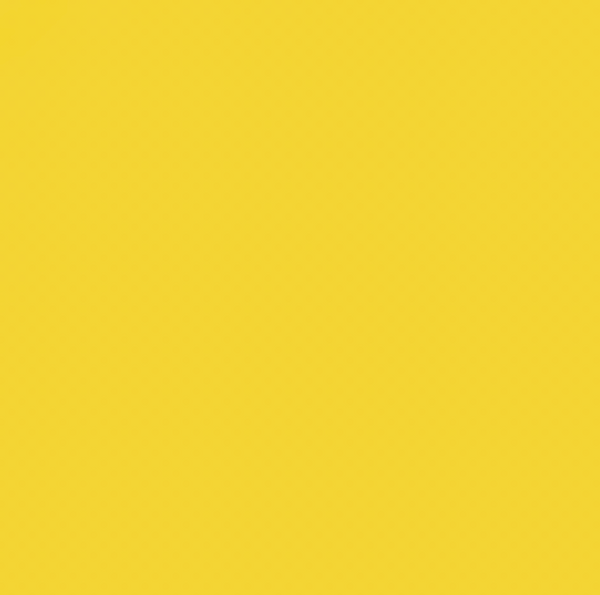 Y19/Y070 CANARY BRUSH CHISEL