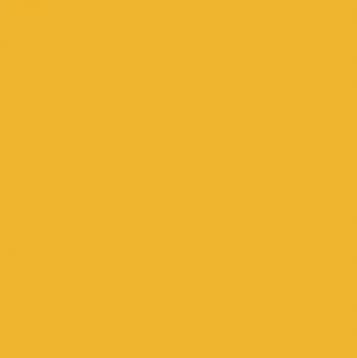 Y111/Y2 MUSTARD