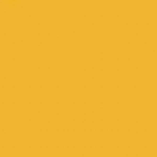 Y111/Y2 MUSTARD
