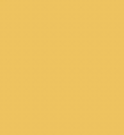 Y27/Y1 SUNFLOWER BRUSH/CHISEL