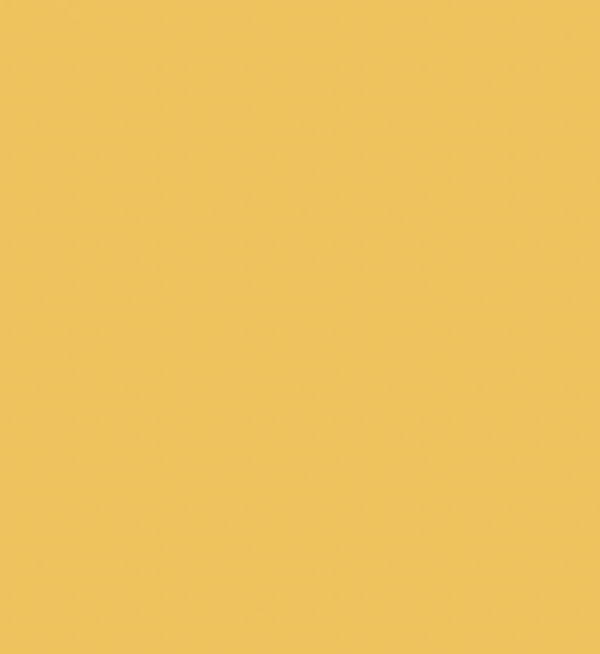 Y27/Y1 SUNFLOWER BRUSH/CHISEL