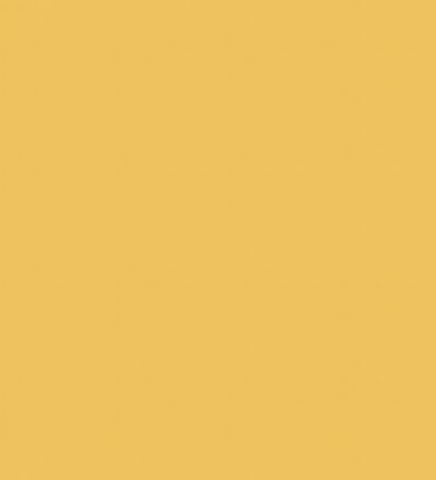 Y27/Y1 SUNFLOWER