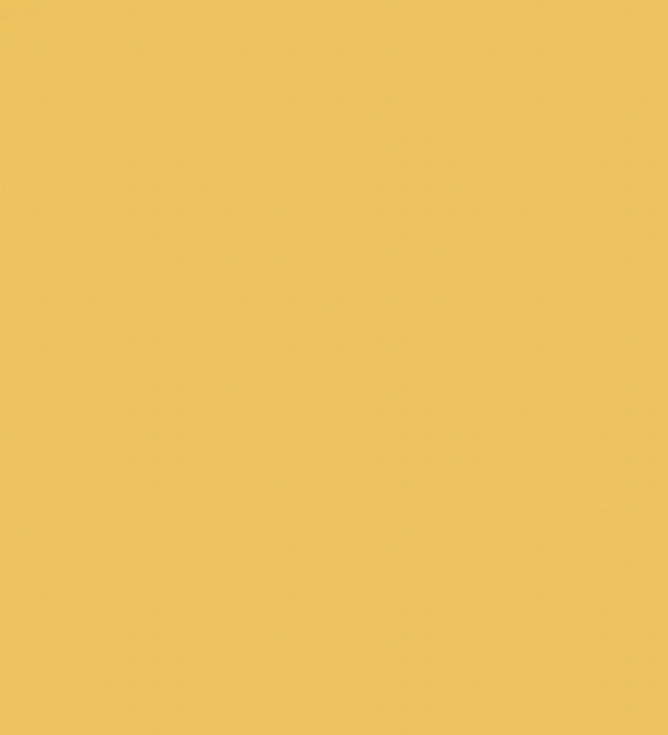 Y27/Y1 SUNFLOWER