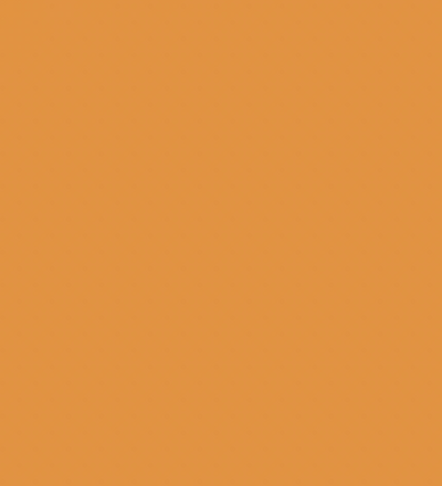 Y213/YR2 DARK MARIGOLD