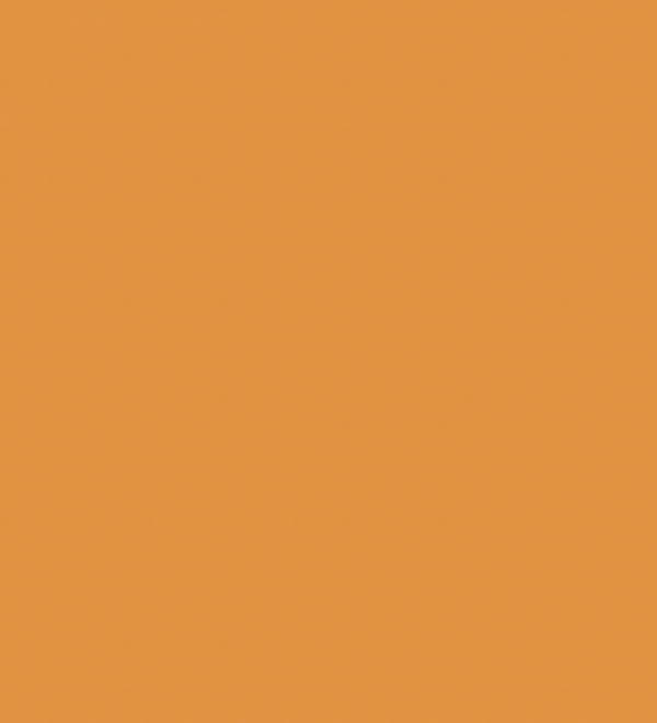 Y213/YR2 DARK MARIGOLD