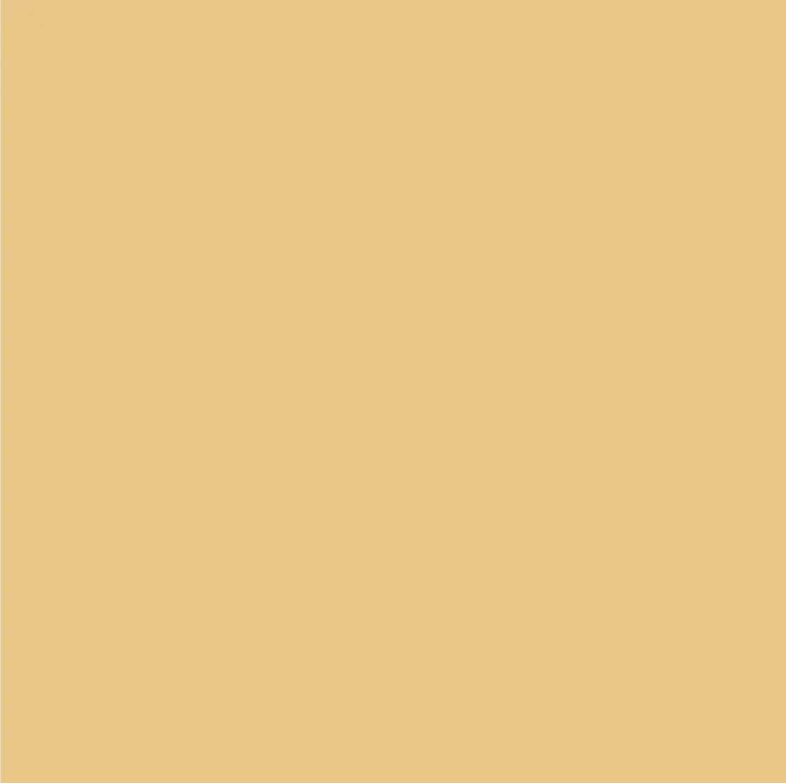 Yellows  Authentic Ohuhu Honolulu Brush/ Fine/ / Chisel Tip  Single Color | Sold by The Marker Monster