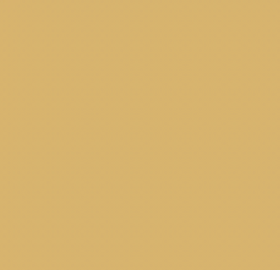 Y311/Y270 TERMITE BEIGE