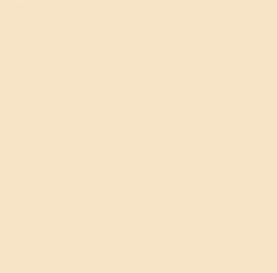 Y43/YR212 WARM BEIGE BRUSH/CHISEL