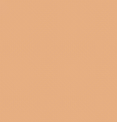 Y412/E490 APPLE CIDER