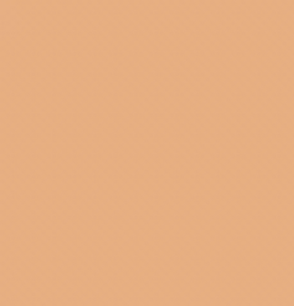 Y412/E490 APPLE CIDER