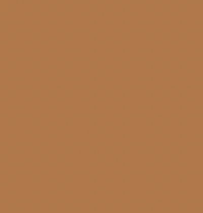 Y416/Y210 GOLDEN BROWN
