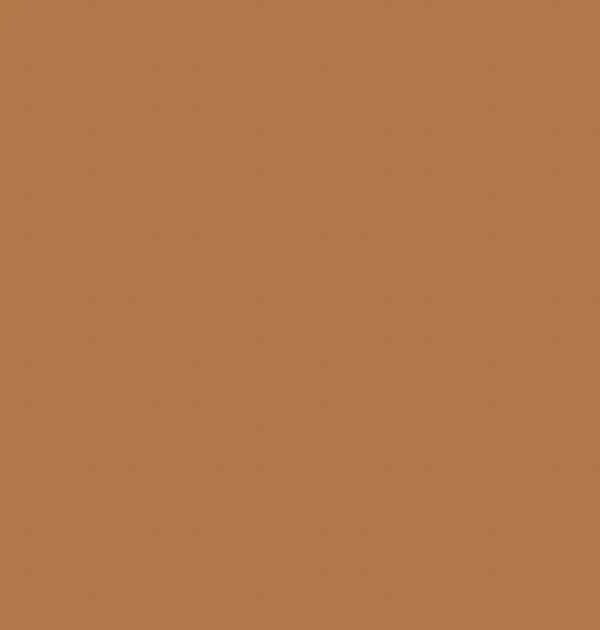 Y416/Y210 GOLDEN BROWN