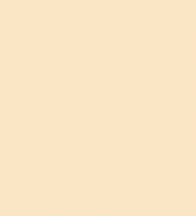 Y55/Y120 GOLDEN CHAMPAGNE