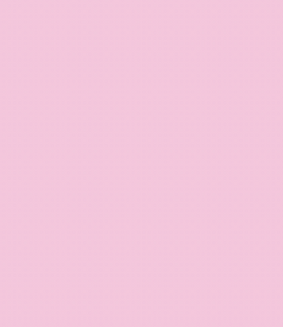 RV04/RV030 LIGHT ORCHID