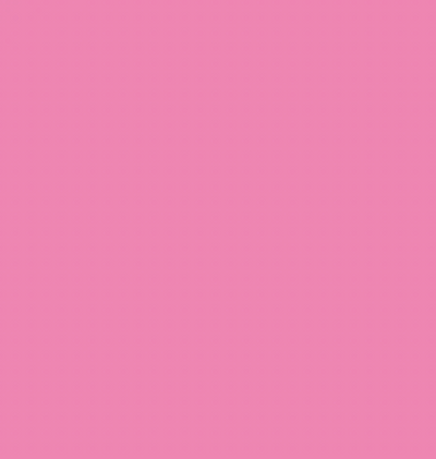 RV09/RV070 DISCO PINK