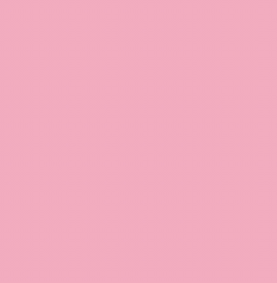 RV17/R22 PINK