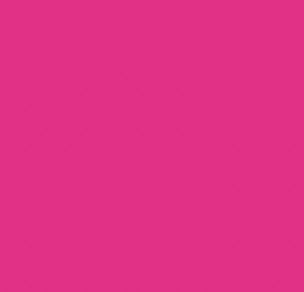 RV212/RP1 RICH RASPBERRY