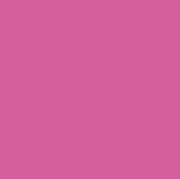 RV310/RV100 FUCHSIA