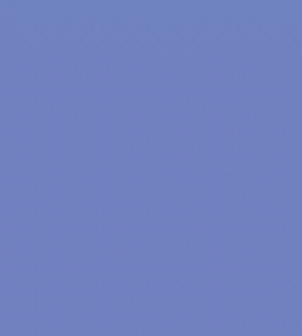 BV28/V370 BLUEBONNET