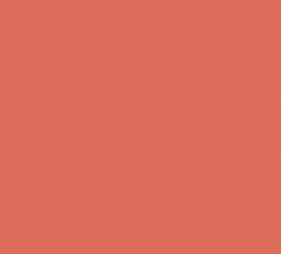 R013/Y5 TOMATO