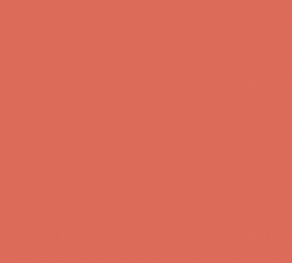 R013/Y5 TOMATO