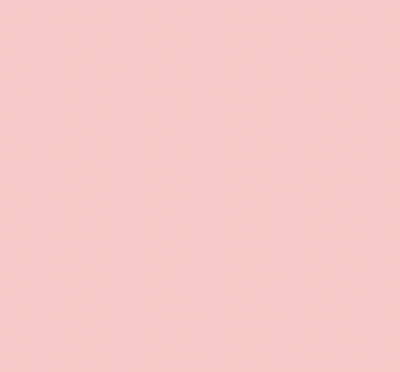 R16/R21 LIGHT SALMON