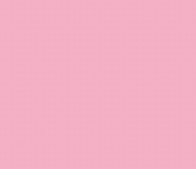 R25/RV300 TENDER PINK