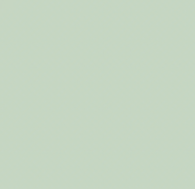 G24/G410 CELADON BRUSH/CHISEL