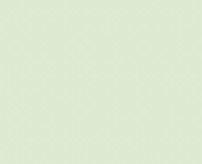 G43/GY172 VINTAGE PALE GREEN