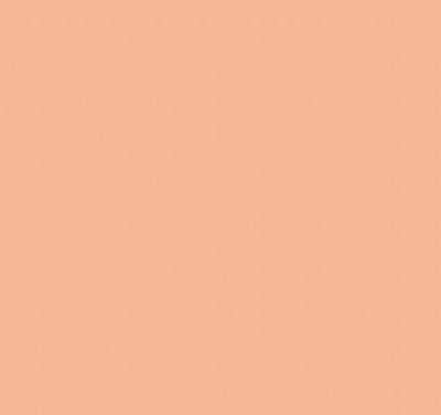 YR25/YR205 POWDER ORANGE SKIN